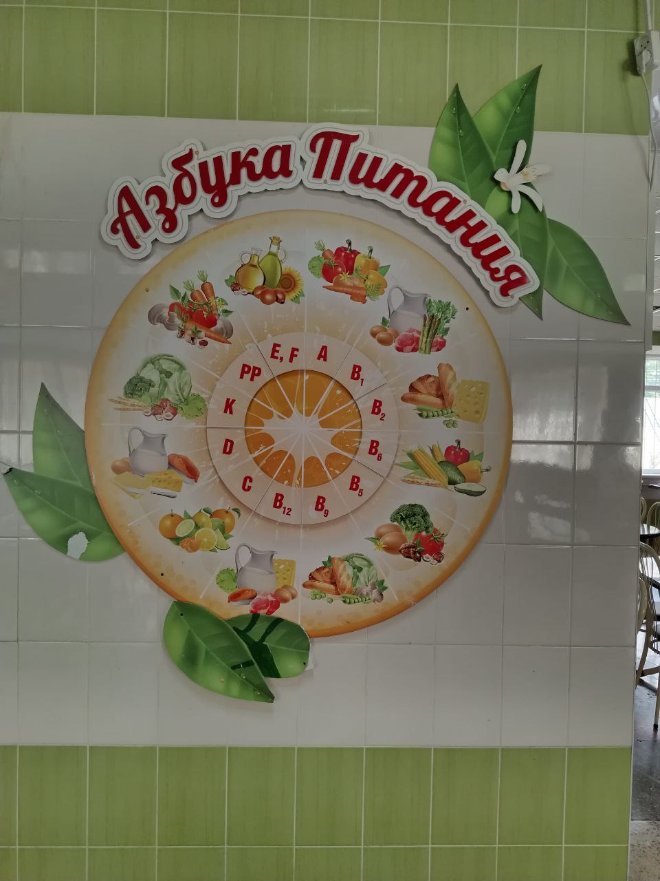 Изображения столовой.